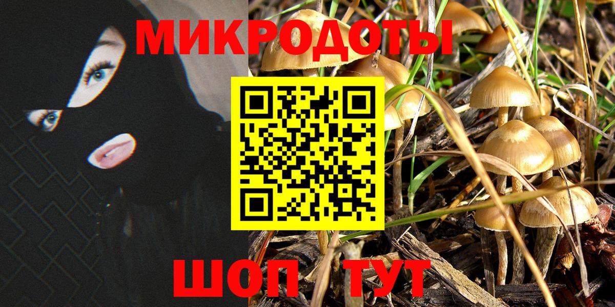 Галлюциногенные грибы прущие грибы  Вход с VPN  Грозный 
