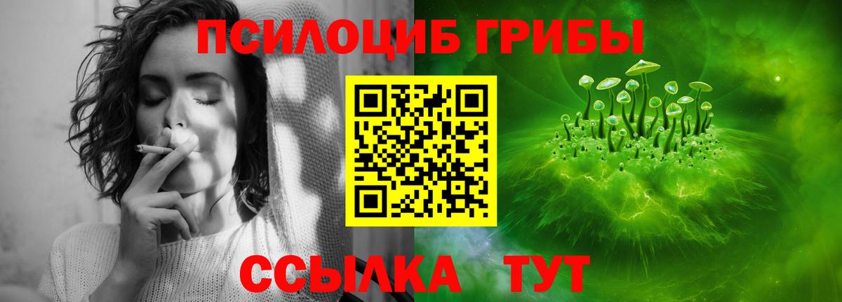 Галлюциногенные грибы ЛСД Грозный